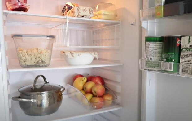 Как экономичнее работает холодильник: загруженный или полупустой?