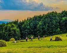 Самсон Сіногній 10 липня: чого категорично не можна робити