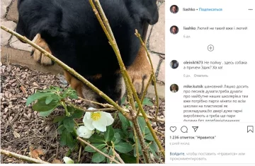 Публікація Олега Ляшка, Instagram
