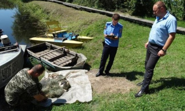 В Украине появится рыбный патруль (инфографика)