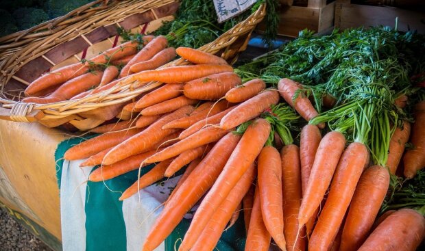 Морковь, фото bublik.delfi.