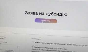 Заявление на субсидию, скриншот