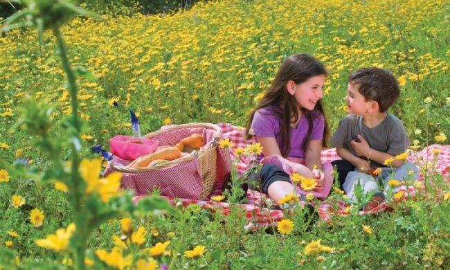 Літо близько: українці відчують справжню спеку