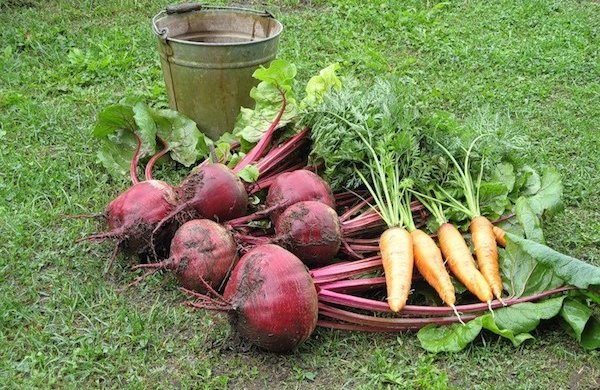 Корнилія 26 вересня: повір'я та прикмети