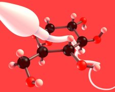 Исследователи раскрыли назначение таинственного гена: открытие поможет вылечить мужское бесплодие