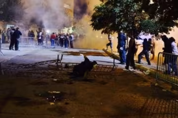 У США під час акції протесту проти Трампа закидали камінням поліцейських