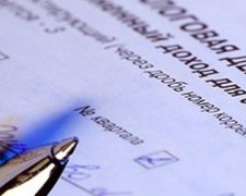 Супруги судьи и таможенника списали декларацию друг у друга