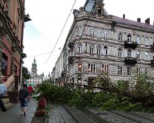 Затоплений Львів. фото Facebook ГО “Зручне місто”