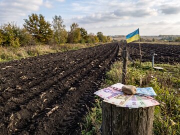 український земельний пай поле