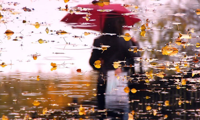 Погода на початок тижня: Україну полонить холодний дощовий фронт