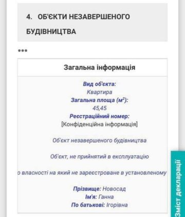 Декларація Ганни Новосад, скріншот: declarations.com.ua