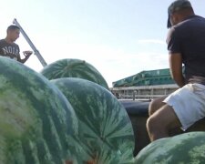 Баржа з кавунами, фото: скріншот з відео