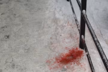 Розстріл пари одеситів у Миколаєві потрапив на відео