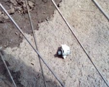 Одесскому борцу с коррупцией кинули под дом гранату
