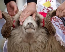 Курбан-Байрам 2018: традиції головного свята мусульман