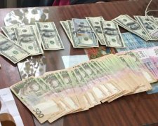 Все в семью: муж нардепа погорел на взятке