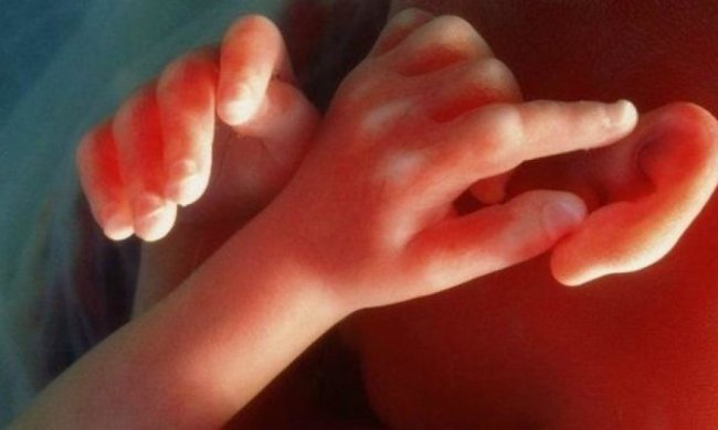 Украинские дети смогут иметь троих родителей