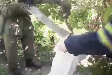 Под Днепром водный монстр чуть не пообедал испуганными горожанами - лежал на пороге, высунув язик