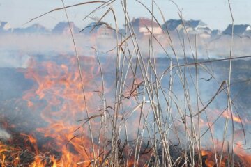 У вихідні на Закарпатті вигоріло більше 80 гектарів сухотрав’я
