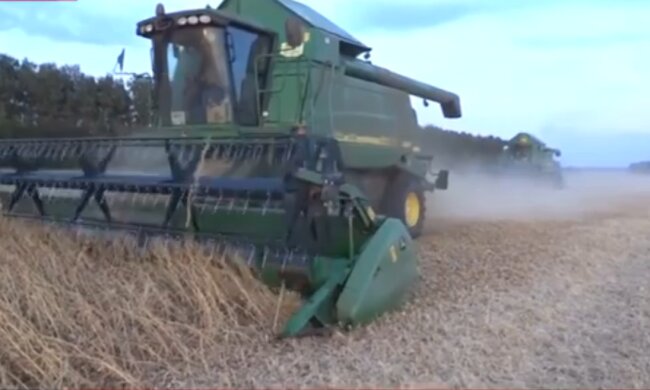 Врожай, скріншот: YouTube