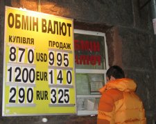 Курс валют на 24 мая: гривна восстала против евро