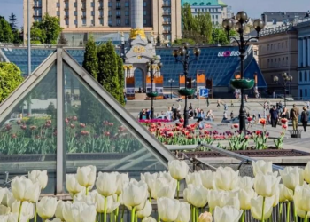 Украинцы, Киев, цветы, фото из соцсетей