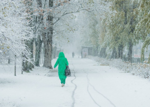 Снег, зима, фото из соцсетей