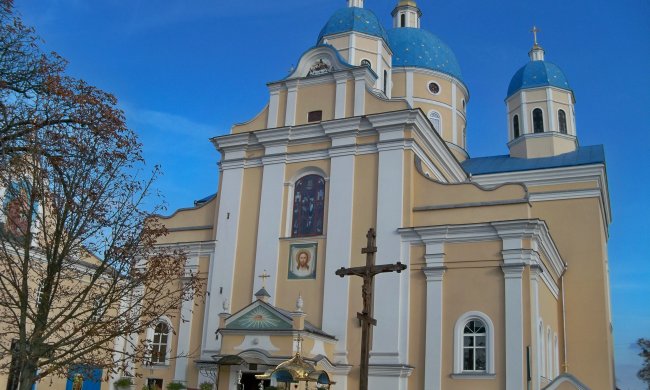 Під Львовом обчистили прокурора, мантія не допомогла