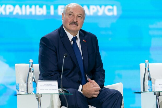 Лукашенко оконфузился в Житомире