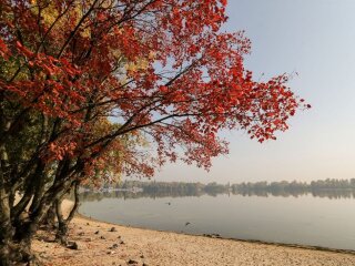 Погода в Украине, фото: Униан