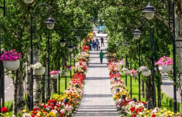 Українці, фото із соцмереж