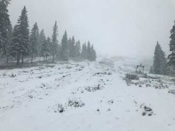 сніг у Драгобраті, фото з Facebook