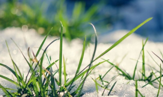 Синоптики прогнозують аномально теплий лютий 