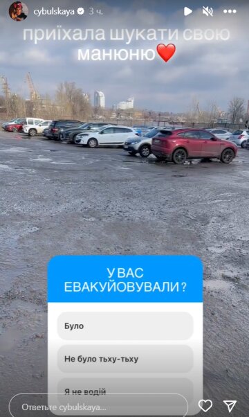 Stories Олі Цибульської, скріншот: Instagram