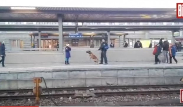 Полицейский пес столкнул пассажирку на рельсы метро (видео)