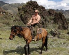 Голий Путін знову осідлав ведмедя на радість ватникам