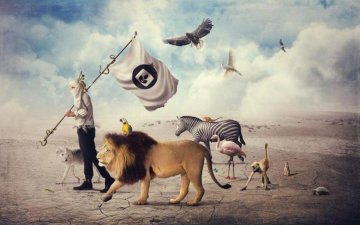 Photoshop научился читать мысли пользователей