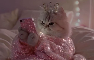 Гороскоп, зображення: Pinterest