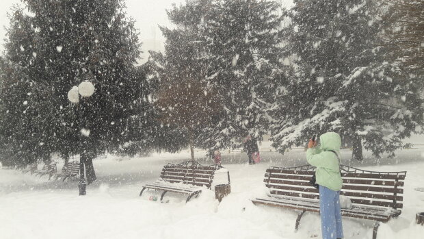 Cнігопад, зима - фото Знай.ua