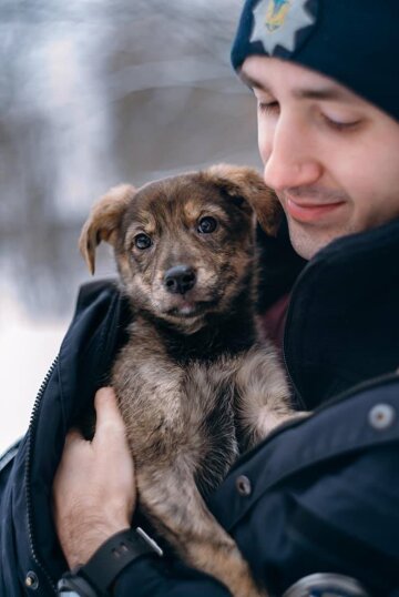 полицеский с щенком, фото facebook.com/mvs.gov.ua