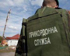 Прикордонники затримали на Закарпатті 13 нелегалів з Афганістану (відео)