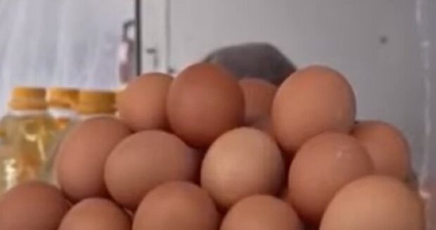 Яйця. Фото: скриншот з відео