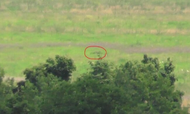 "Правий сектор" знищив снайпера терористів на Донбасі