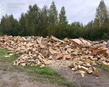 незаконная добыча песчаника