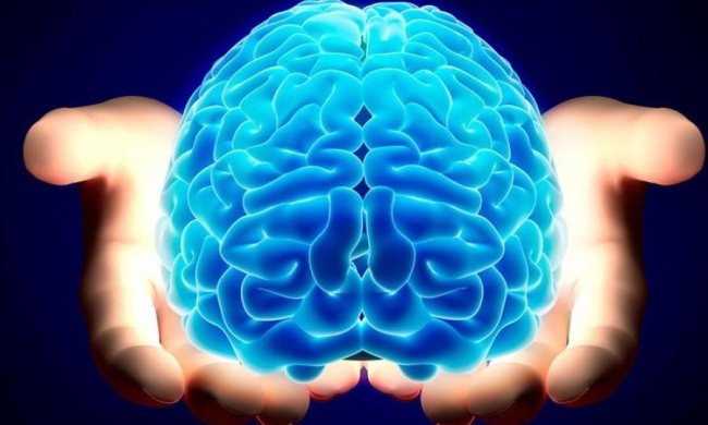 Вчені відкрили нові можливості мозку
