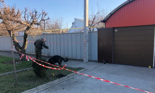 В Запоріжжі горе-"закладницю" піймали на гарячому: швидкі гроші накрилися мідним тазом
