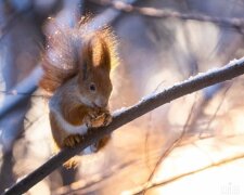 Погода в Україні, фото: Народна правда