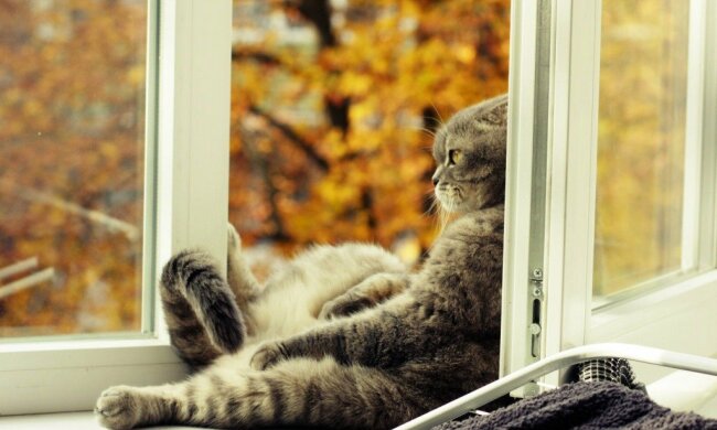 Погода на конец недели: синоптики прогнозируют, что бабье лето начало прощаться с украинцами