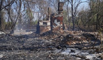 "Лес подожгли. чтобы скрыть воровство. Но до пеньков огонь не дошел" - самоселы о пожаре в Чернобыле