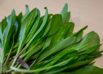 Черемша, фото sovkusom.ru